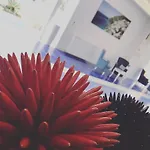 迈特波尔酒店 索伦托