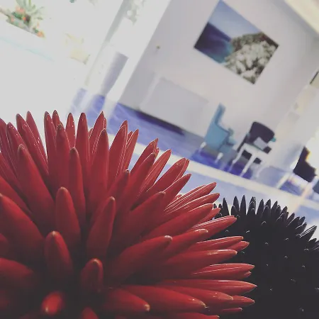 Metropole סורנטו